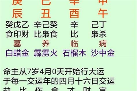 日主天干為火|八字日主天干 (八字算命入门十天干日主速解)